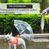 Colliers de chien alimente le parapluie amazon en peluche petite avec une laisse de corde de traction marche