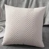 Pillow Velvet Pillowcase Home Bed Set Simple 45x45 CM Sofa