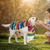 Abbigliamento per cani abiti colorati per festumi poncho per animali domestici per feste messicane