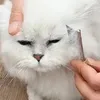 Odzież psa Pet Hair Comb Combs Cat Akcesorium Portable Kitten do pielęgnacji drewnianych psów