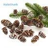 Fleurs décoratives 24pcs plante artificielle faux pignons de pin de décoration de noeud couronne de Noël maison bricolage garland plants de mariage