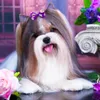 Hundekleidung 30pcs Blumenmuster Dekorieren Sie Haarzubehör Katzenbögen mit Gummibändern Welpen Kopfbedeckung für kleine Vorräte