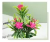 Decorative Flowers Artificial Flower Potted Plants 5 Small Lotus Simulated Bonsai Desktop Ornaments Creative Products