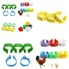 Otros portadores de suministros para mascotas 100pcs/bolso Potry Farming Chicken Goose Pate -Foot Ring Color de plástico para identificar el asador de la capa con el número DH3LE