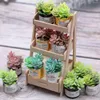 Decoratieve beeldjes 3pcs Doll House Micro Landschap Miniatuur Green Plant Pot Furniture Succulente planten Kleine pot