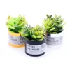 Decoratieve beeldjes 3pcs Doll House Micro Landschap Miniatuur Green Plant Pot Furniture Succulente planten Kleine pot