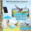 Autres alimentations de fournitures d'oiseau avec une caméra Smart Al Identification 4MP Capture vidéo automatique