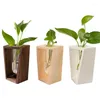 Vases Grass Test Tube With Wooden Frame Minimalist Hydroponic Green Plant Container Home Decoration