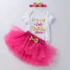 Roupas infantis, roupas de primeiro ano de bebê, macacão de desenho animado, conjunto de vestido rosa princesa rosa