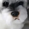 Animais de pelúcia de pelúcia 20 cm 8 polegadas fofas pequenas filhotes Schnauzezer Real Life Plush Simulation Dog de pelúcia
