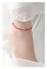 Anklets Year of Birth S925 Silver Red Rope Circle Anklet for Women 2024 Ins Design speciale Interesse Ornamenti per ornamenti neri