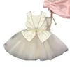 Girl's Casual Girls Dress Children's Performance Fluffy Skirt Host Evening Bow Billy Princess