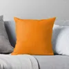 Travesseiro liso liso de neon laramente laranja - mais de 60 laranjas na sala de ozcushions jogam salão de coberturas