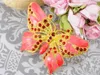 Brooches Enchanting Hyacinth Pink Cute Golden Tone Crystal Rhinestone Butterfly Brooch Pin