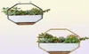 Pendurados suculentos vasos de flores de flores cerâmica suporte de suporte preto rack de ferro de ouro preto bandeja de bandeja de bandeja de desktop cacto geométrico Planter Y23891946