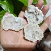 Figurines décoratives Agate Natural Geode Crystal Hole Mineral Spellert Contient des grappes claires Guérir Energy Stone Halloween Decorations
