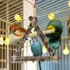 Andere Vogelversorgung natürlicher hölzerner Schwung Spielzeugvögel stehen Stangenpapageispielzeug für Lovebirds Cockatiel Brudgie