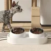 Elevated Cat Bowls 10° Tilted Anti-Overturning Neck Protection Anti Vomiting Stainless Steel Double Dog Bowl Pet Feeding Station 240407