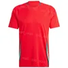 24-25 Soccer Wales 11 Gareth Bale Jersey Euro Cup 9 Brennan Johnson 13 Kieffer Moore 20 Daniel James 8 Harry Wilson Joe Rodon Roberts National Team Football Shirt Kits