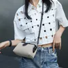 Дизайнерская сумка роскошная сумка Canvas Bag Summer Leather Women's Women's 2024 Новая модная рука на коно коса