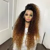 Brasilianisches Haar Kinky Curly Ombre Brauner Spitze Vorderperücke Wasserwelle Spitze Frontale Perücken für Frauen glühlos vorgezogene Faser -Cosplay -Synthetikperücken