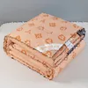 Silk Quilt Summer Blanket Airable Cover Single Quits Student Spring and Autumn Duvet Insert Double Thick Winter Cotton Padded Quilt Wholesale