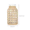 Vase House Plants Rattan Glass Vase Weaving Craft Wicker Dr Dr Dr Draill Derorative Office