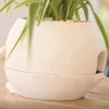 Vaser delad typ av själv absorberande vas kreativ främjar hälsosam tillväxtplanter för trädgårdsentusiastälskare gåva