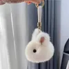 Plush Keychains New Cute Little Rabbit Plush Car Keychain Blue Powder Bell Pendant Men Women Couple High Quality Backpack Bag Jewelry Y240415