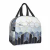 Samenvatting Geometrische hexags Lunch Bags Men Vrouwen Koeler Warm geïsoleerde lunchbox voor kinderen School Picnic opbergtas O0UJ#