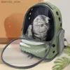 猫のキャリアクレートハウスハウス宇宙飛行士透明な輸送baペット旅行baスペースカプセルキャットバックパックキャリアのためのhih qualityl49