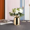Wazony AT35 Proste lekkie luksusowe galwaniczne wazon salon sypialnia telewizja szafka na półkę z półką kwiatową ceramiczna miękka