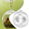 Vases Hanging Glass Ball Garden Home Pots Succulent Tabletop Candles Vase Plant Tealights Terrarium Celebration