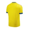 2023 24 Cadiz Mens Soccer Jerseys Sobrino A. Negredo Brian R. Alcaraz Fali I. Alejo M. Mbaye Home Yellow Away 3 -й футбольные рубашки
