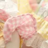 Spring and summer pet clothing dog clothes cat sweetheart bunny tutu skirt Teddy small 240411