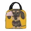 Dachshund de arame de arame de arame de cabelos de cabelos de cabelos de cabelos selvagens lanchonetes BENTO BENTO BETO TOTE SACOS DE VAZOLAÇÃO