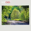 Blankets Custom Soft Fleece Throw Blanket Spring Path In Forest By The Lake Sun Light Reflecting On Fresh Leaves Tranquil Image Lime