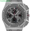 Swiss Luxury Watches Audemar Pigue Royal Oak Offshore Michael Schumacher Titanium HBAS