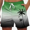 Mentes de plage en vrac Shorts à crampons rapides à la noix de coco sec pour les femmes d'été hommes 3d imprimé sport surdimensionné décontracté 240403