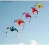 Kite Accessoires kostenloser Versand 10pcs Fisch Kite Fabrik Großhandel Outdoor Flying Toy Kites für Erwachsene Kinder Kite Line Nylon Kite Reel Neue Toys Y240416