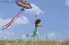 Accessori per aquiloni Nuovi arrivare Outdoor Fun Sports 43 pollch Parrot /Bird Kite con manico e fila per bambini BUONI FLYING Y240416