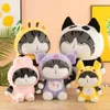 Serie di gatti trasformanti all'ingrosso giocattoli peluche cartoni cartoon bambole decorazioni per la casa regalo di compleanno