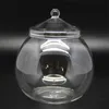 Mikro Peyzaj Yosun Bryophyte Ball şekil cam vazo kapak taze yeşil yosun şişe cam teraryum bonsai masaüstü dekorasyon 240409