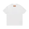 مصمم البولو قميص Polos Ice Silk Silk Polo Shirt Summer Lapel المرونة T-Shirt