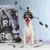 犬のアパレルショートスカート子犬コスプレ小道具ペットチュチュハットハロウィーンコスチュームエレメントキャットメッシュパーティー