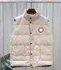 Canadian USA popularność zimowa na zewnątrz kamizelki luksusowe bodywararmer mody kurtki damskie damski projekt designerski płaszcz męski Doudoune Luxe Goose veste homme manteau