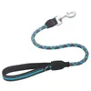 Dog Collars Pet Leash Four Colors Comfortable And Durable Nylon Reflection Climbing Rope Material Thick Alloy Buckle Accessories