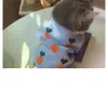Прямая молочная кошка собака модный бренд небо голубой свитер плюшевый Bomei Fadou Осень/Зимний питомец теплый
