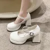 Kleiderschuhe Casual Mary Jane Brand Designer Frauen 2024 Spring Fashion Buckle Round Toe Solid Color High Heel Party