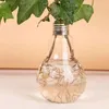 Vazolar 100ml Ampul Şeffaf Cam Vazo Moda Hidroponik Çiçek Ev Hediyesi